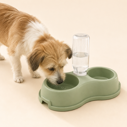 Double Bowl Feeding Station
