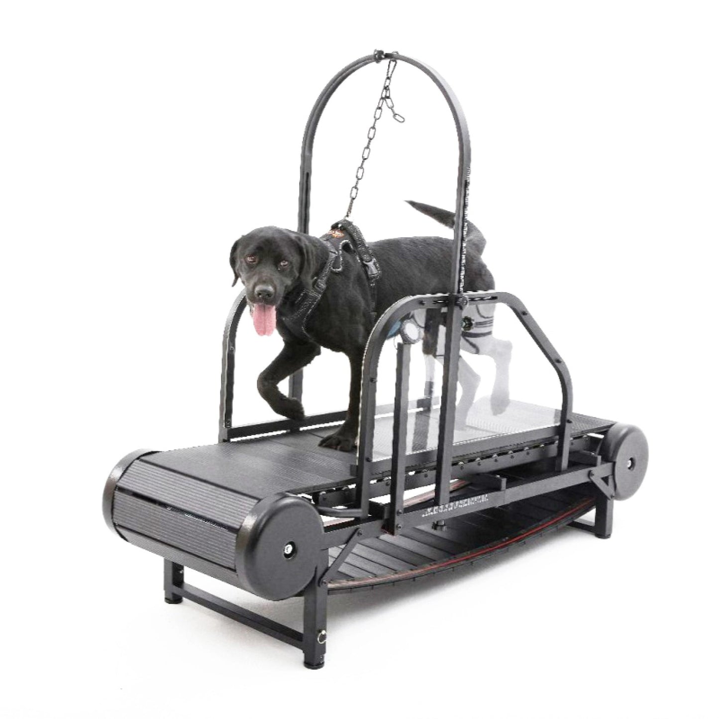 ROV Running Machine for Large Dogs