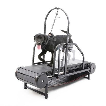 ROV Running Machine for Large Dogs