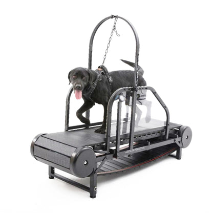 ROV Running Machine for Large Dogs